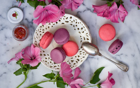 Десерт макарун с розовыми цветами мальвы