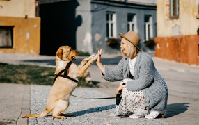 Красивая девушка играет с собакой 