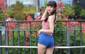 Молодая азиатка в коротких шортах 