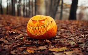 Evil pumpkin in the forest on foliage for Halloween