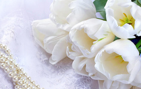 Bouquet of white tulips with pearl beads for March 8