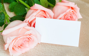Three pink roses and a sheet of paper, greeting card template for March 8