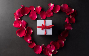 Сердце из красных лепестков розы с подарком на сером фоне