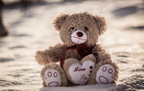 Медвежонок Тедди сидит на песке