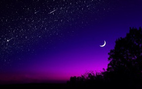 Месяц в звездном ночном небе над лесом