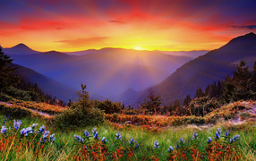 Beautiful view of the sunrise over the mountains