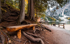 Лавка у деревьев в  парке у озера в горах 