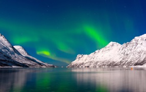 Green aurora borealis in the sky over a calm lake near snow-capped mountains
