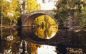 Старый каменный мост через реку в лесу 