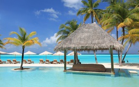 Sun loungers and palm trees on a tropical beach by the ocean with blue water