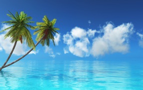Two palm trees in the blue ocean against the sky