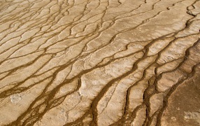 Cracks in the sand close up