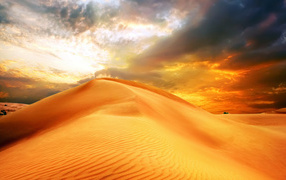 Sun setting over a desert dune