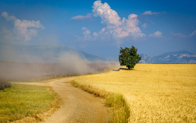 Dusty road near a field with wheat under a blue sky