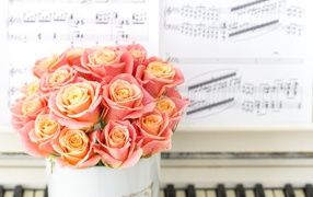 A beautiful bouquet of pink roses stands on the piano