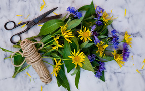 A bouquet of cornflowers with yellow flowers on a table with rope and scissors