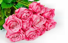 Большой букет розовых роз с зелеными листьями на белом фоне для любимой 