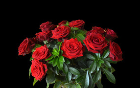A large bouquet of red roses on a black background