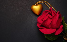 Artificial red rose with a pendant on a gray background