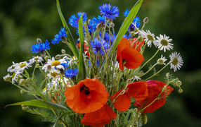 Beautiful bouquet of field poppies, cornflowers and daisies