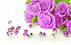 Beautiful lilac roses on a white background with beads