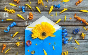 Blue envelope with yellow gerbera flower