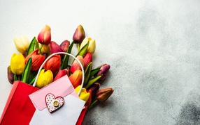 Букет разноцветных тюльпанов с письмом на сером фоне