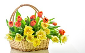 Bouquet of orange and yellow tulips in a basket on a white background