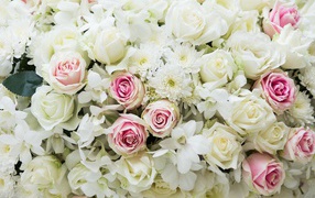 Букет розовых и белых роз с цветами хризантемы