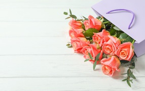 Bouquet of pink roses in a gift bag on a white background