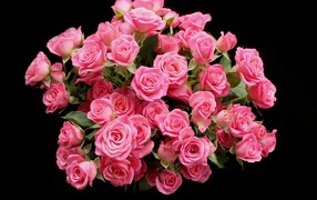 Букет розовых роз на черном фоне