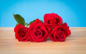 Букет красных роз на голубом фоне 