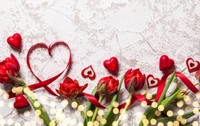 Bouquet of red tulips with hearts on a gray background