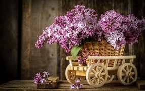Bouquet of spring lilac in a wicker basket