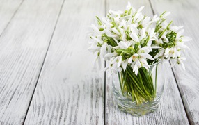 Bouquet of white snowdrops in a vase on the table