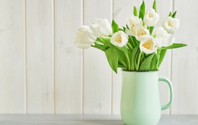 Bouquet of white tulips in a vase on a white background