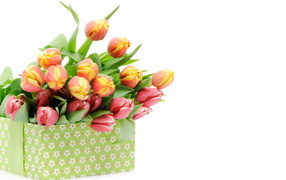 Большая коробка с разноцветными тюльпанами