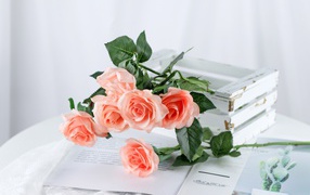 Pink flowers lie on a table on a magazine