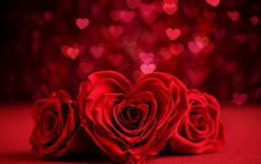 Red rose in the shape of a heart on a background with hearts