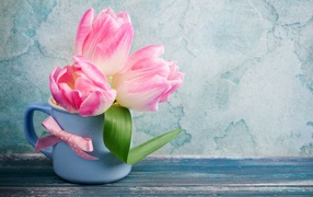 Three pink tulips in a cup on the table