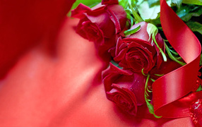 Три красные розы с атласной лентой на красной ткани