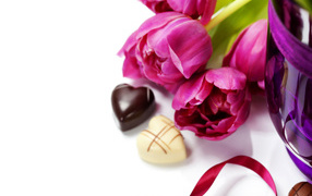 Tulips on a white background with chocolates