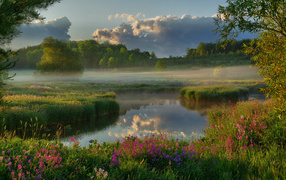 Туман над полем у реки на рассвете 