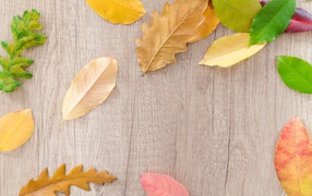 Разноцветные опавшие листья на деревянном фоне осенью 