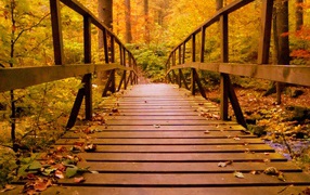 Wooden bridge in a cold autumn park