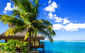 Дом на сваях и пальма на берегу океана под голубым небом