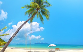 Качеля на пальме на пляже с белым песком 