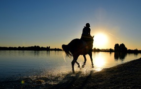 Girl on horseback rides through the water at sunset