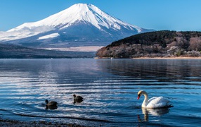 View of the snow-covered volcano under the blue sky by the lake