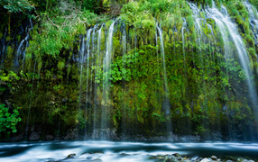 A beautiful waterfall flows down a green cliff